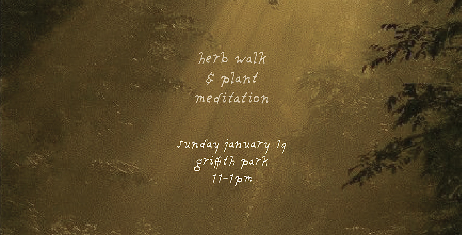 Herb Walk & Plant Meditation in Los Angeles – Los Angeles, CA