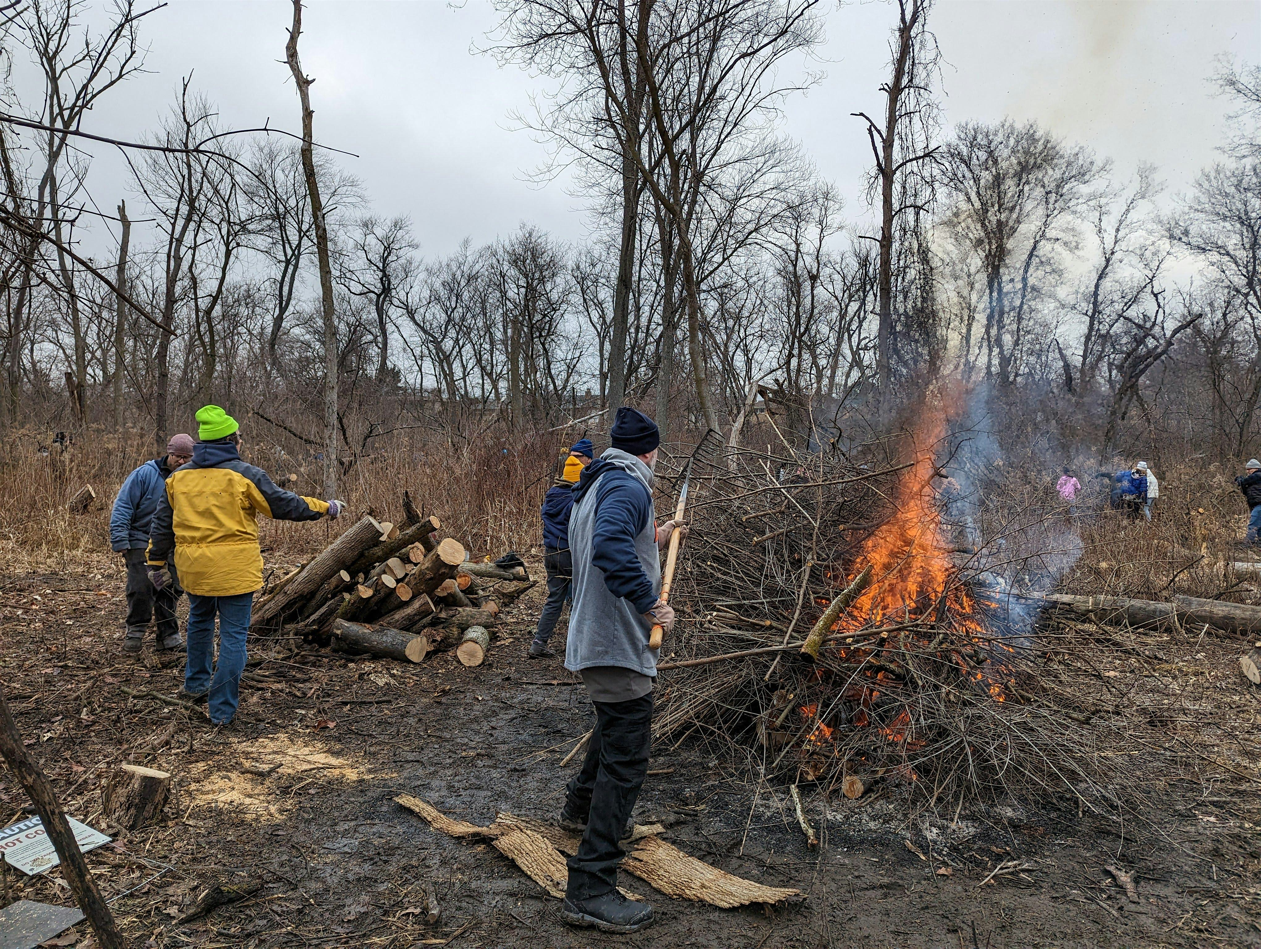 Where the Wild Things Grow – LaBagh Woods Workday – Chicago, IL