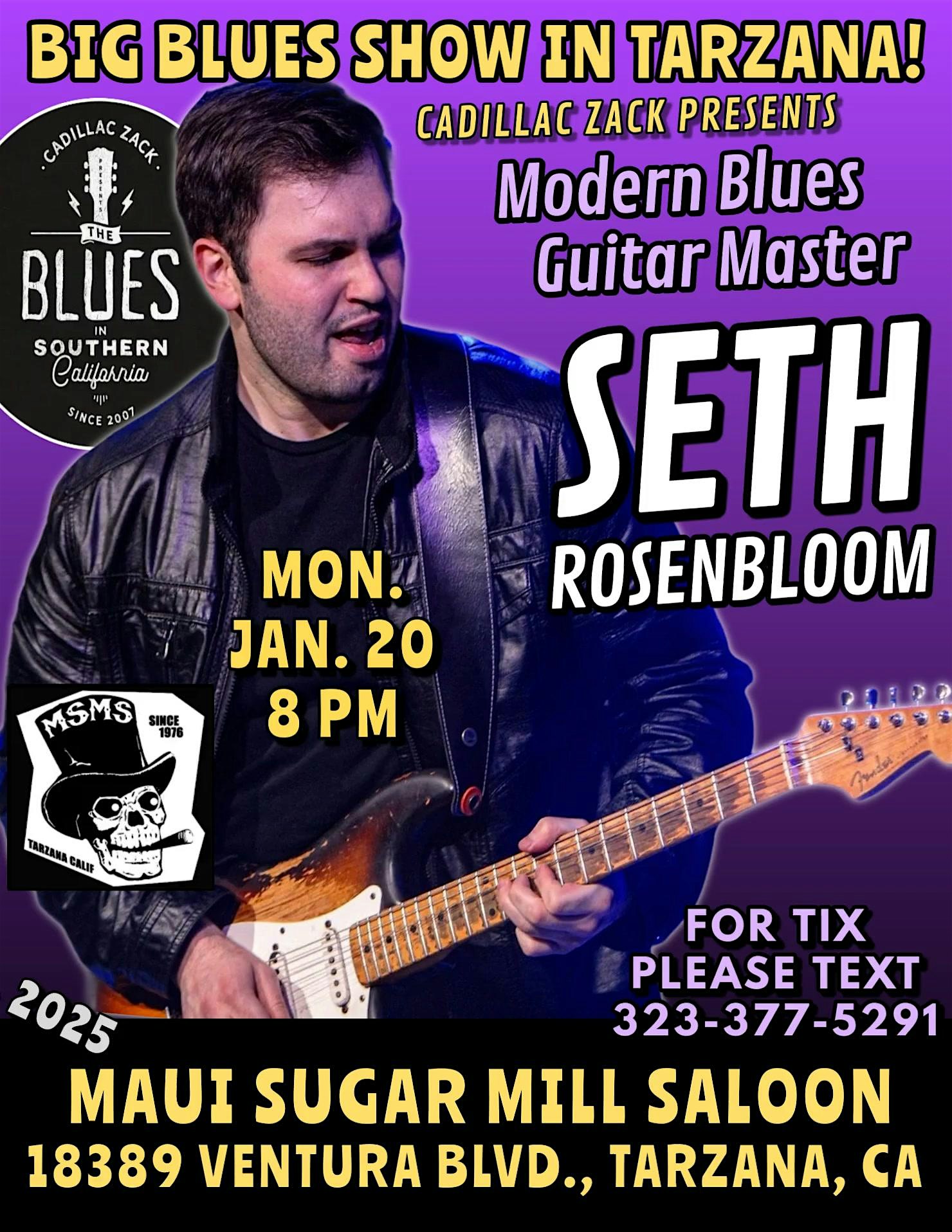 SETH ROSENBLOOM – Modern Blues Guitar Master – in Tarzana! – Los Angeles, CA