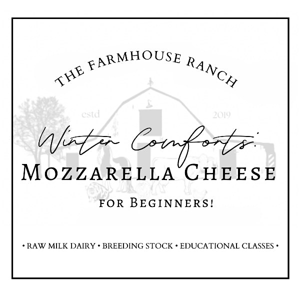 Winter Comforts: Mozzarella Cheese Making for Beginners! – Mansfield, AR