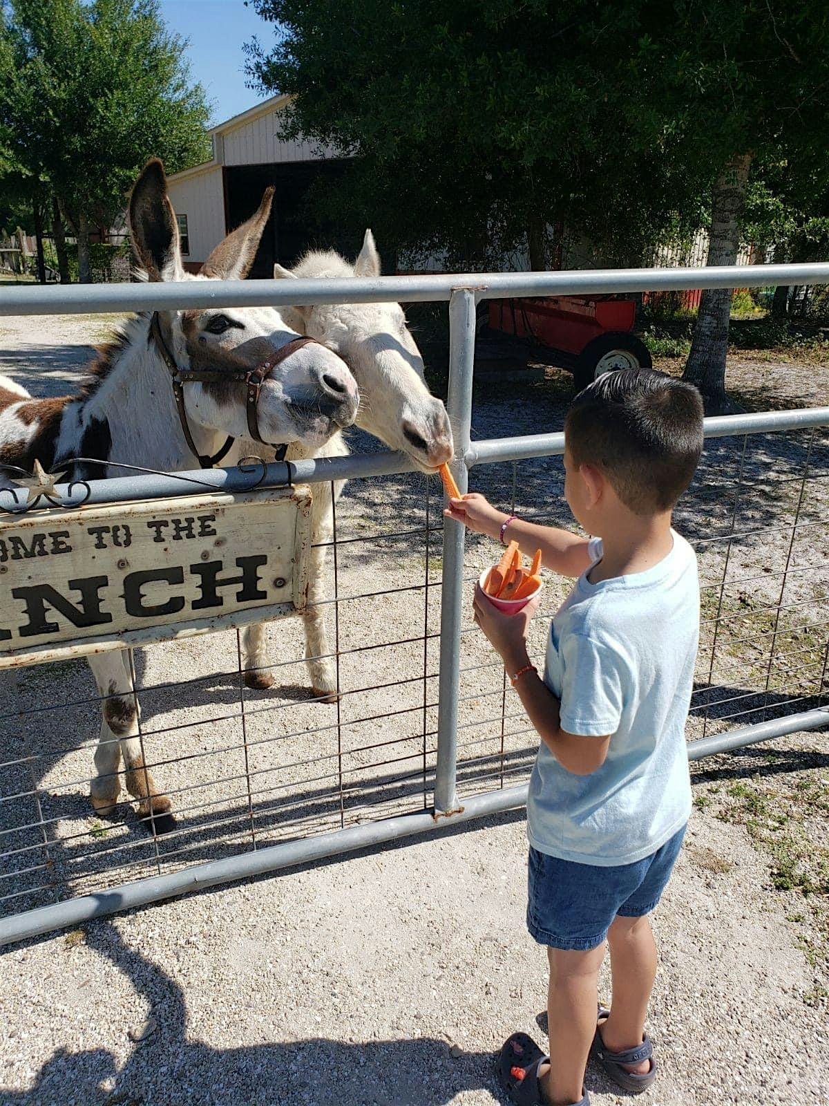 Farm Play date 1/20 – Fort Myers, FL