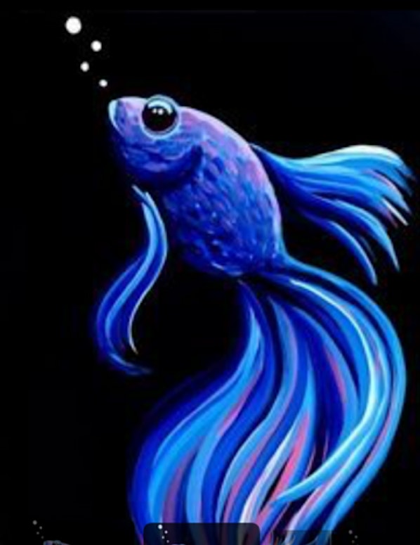 Adult Paint Night – Fish – Naples, FL