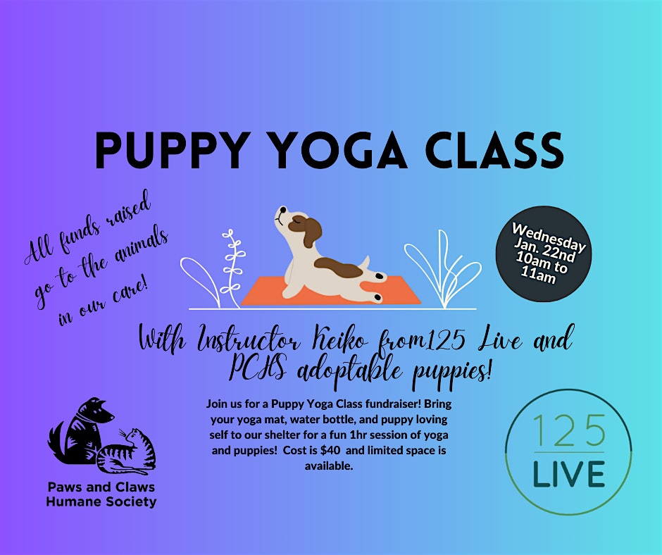 Puppy Yoga – Rochester, MN