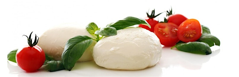 Fresh Mozzarella Making Class – LEVEL 1 – Indianapolis, IN