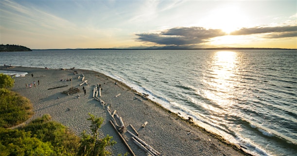 Find Your Own / Cut Your Own – Carkeek Park (Thursday/Friday) – Seattle, WA