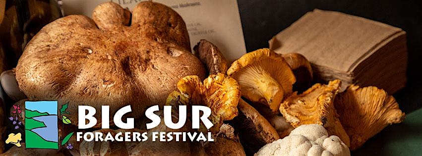 Big Sur Foragers Festival Fungus Face Off 2025 – Big Sur, CA