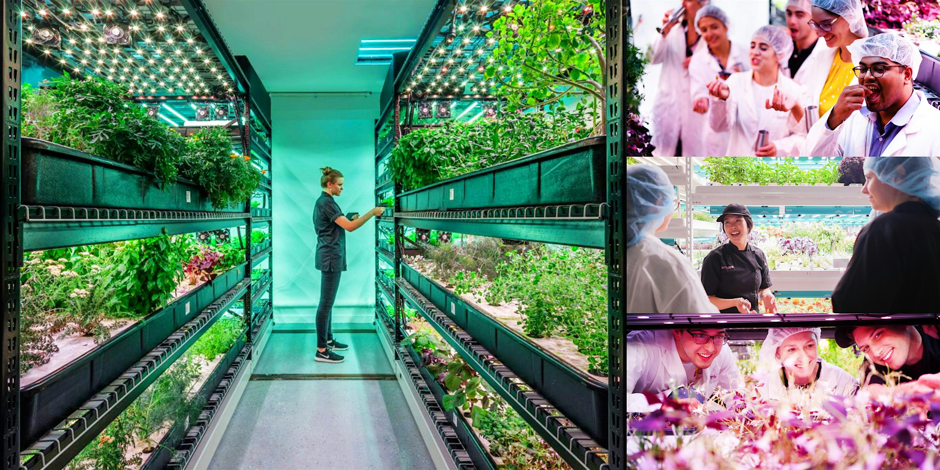 Private Tour & Tasting @ Farm.One, Brooklyn’s Cutting-Edge Hydroponic Farm – Brooklyn, NY