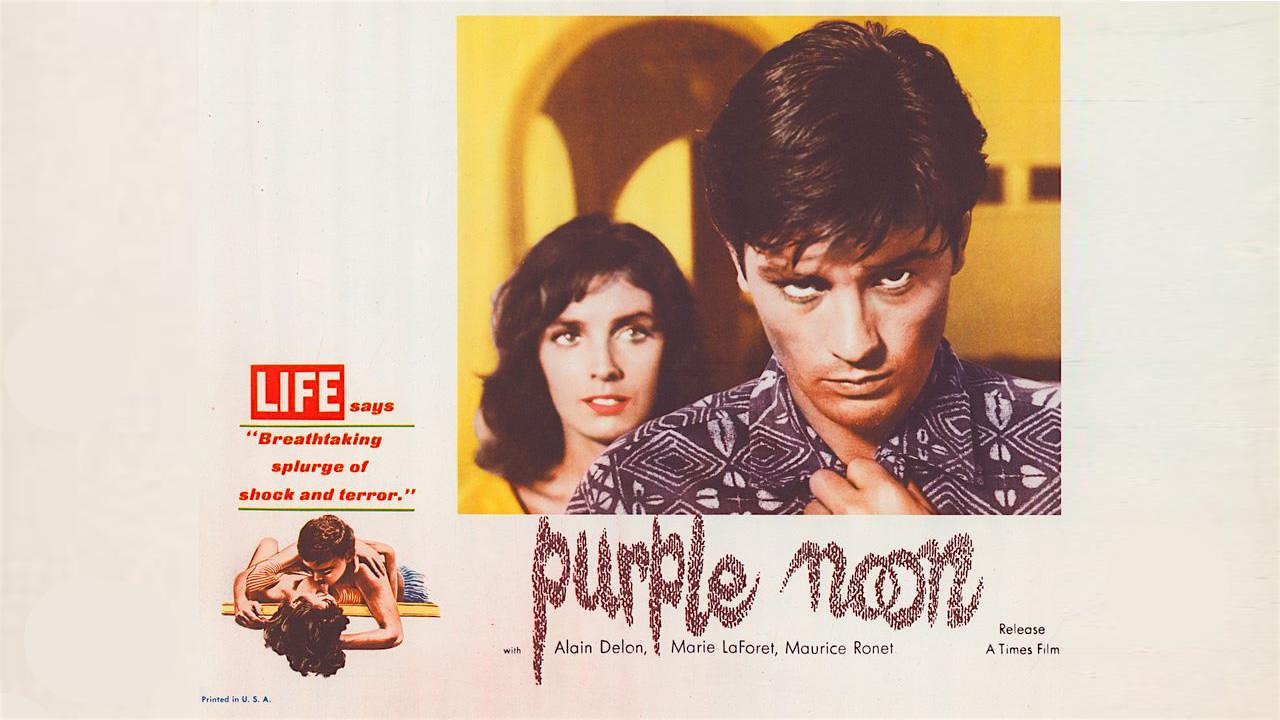 PURPLE NOON – West Orange, NJ