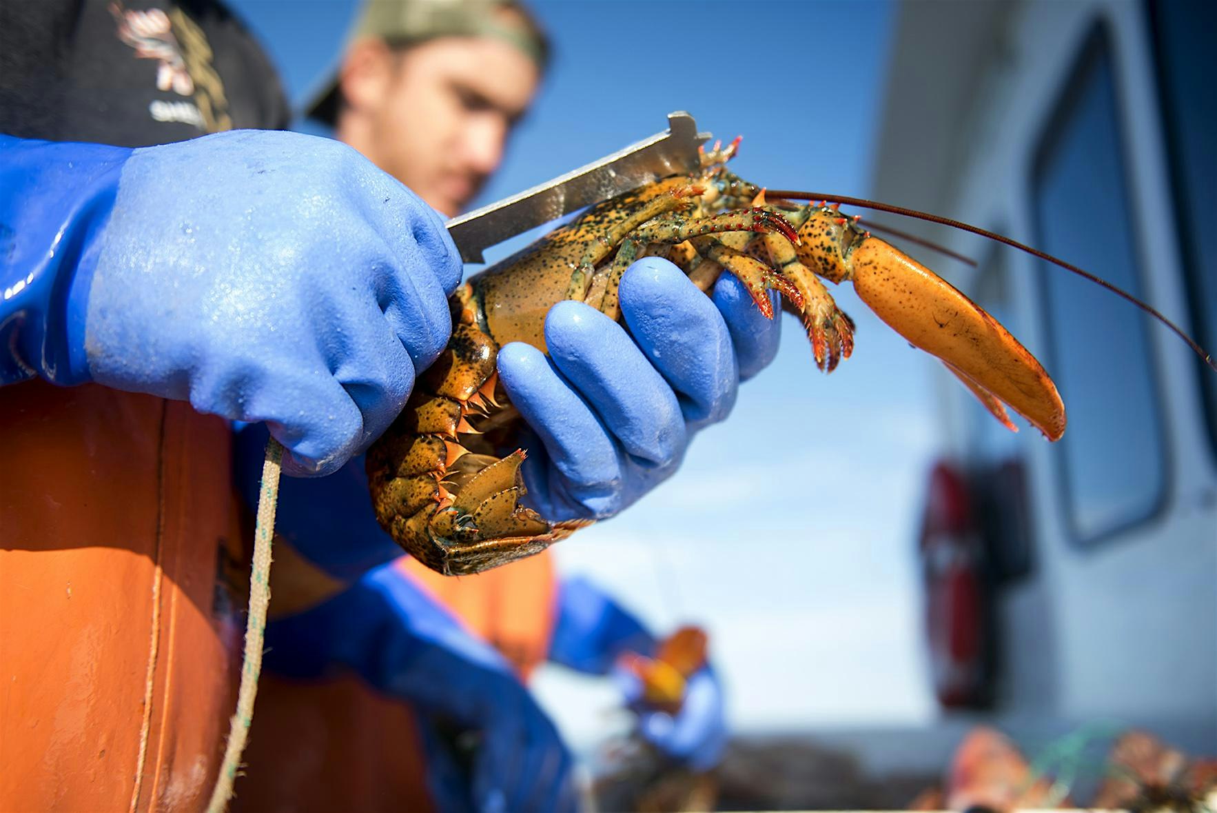 U.S. – Canada Lobster Town Meeting – 2025 – Bar Harbor, ME