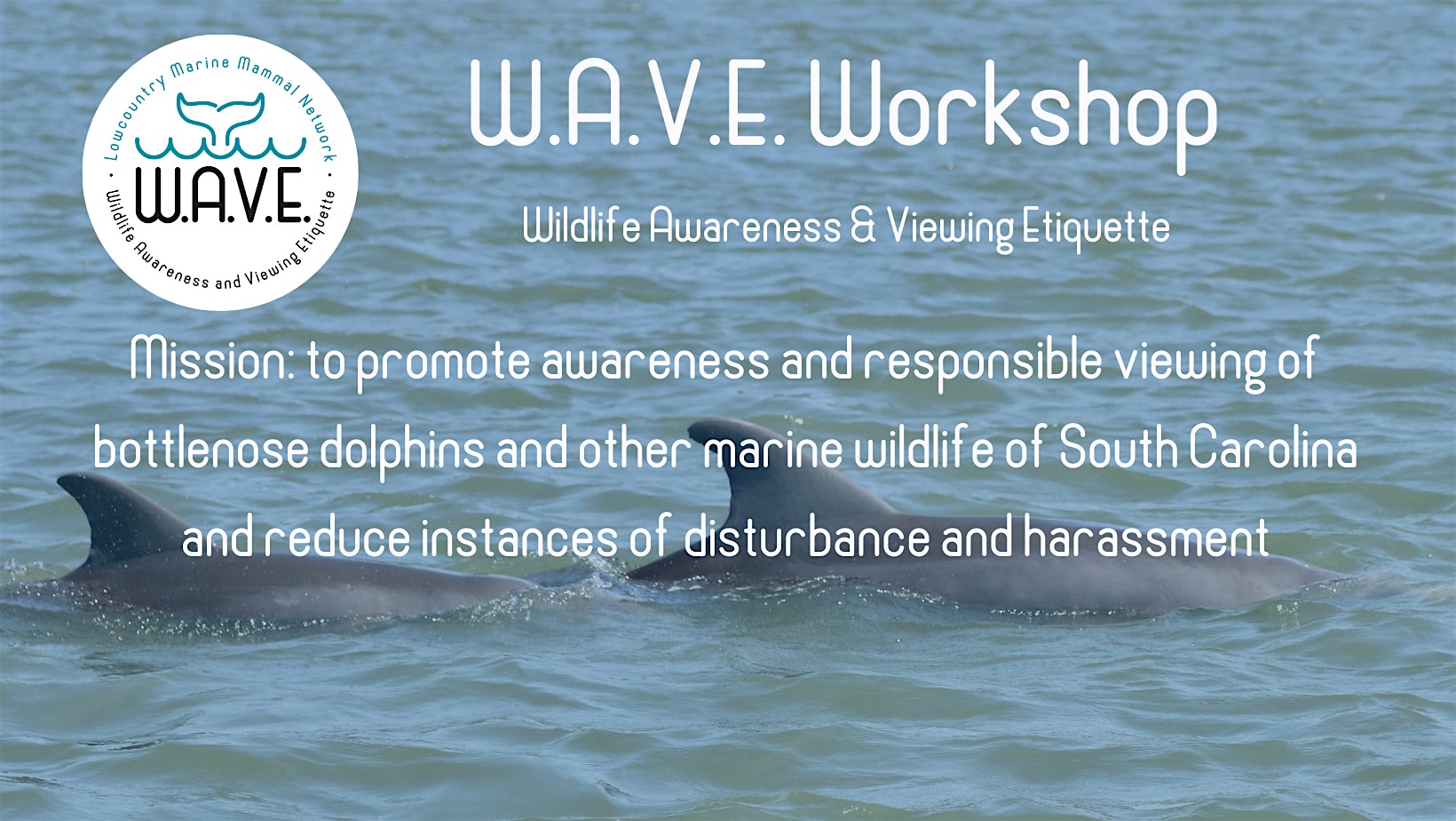 W.A.V.E. Workshop – Commercial Businesses – Charleston, SC