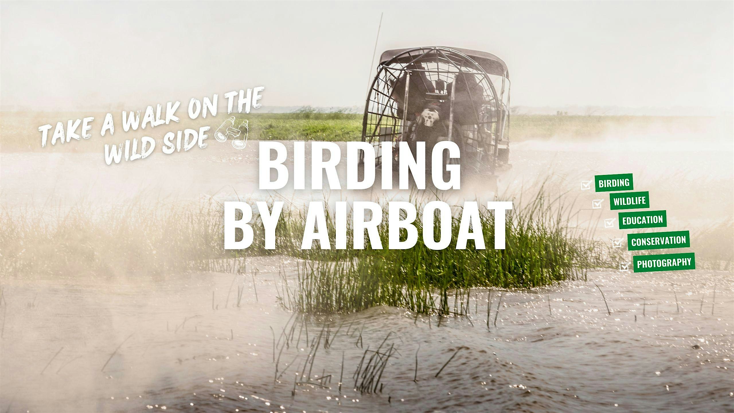 Birding by Air Boat – Belle Glade, FL