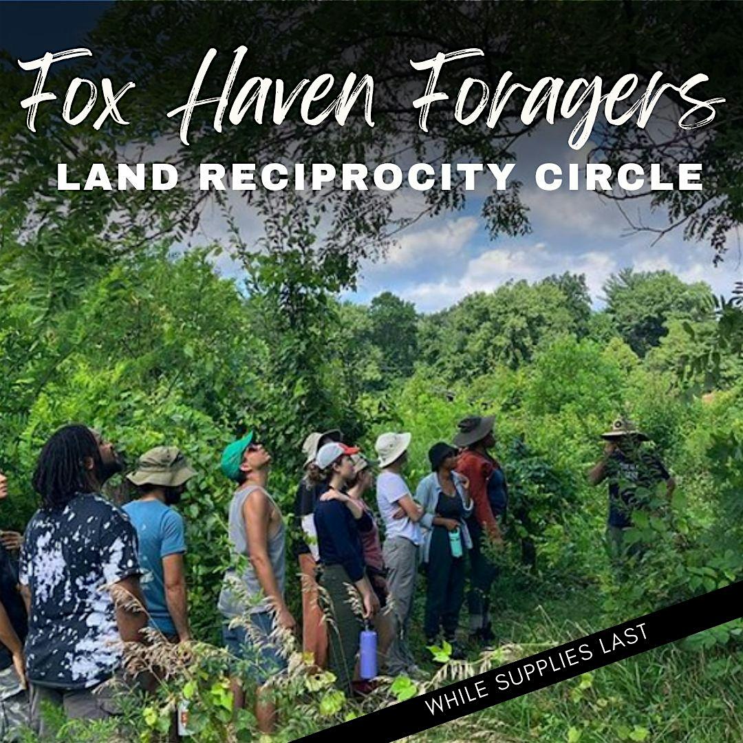 Fox Haven Foragers: Year-Round Land Reciprocity Circle – Jefferson, MD