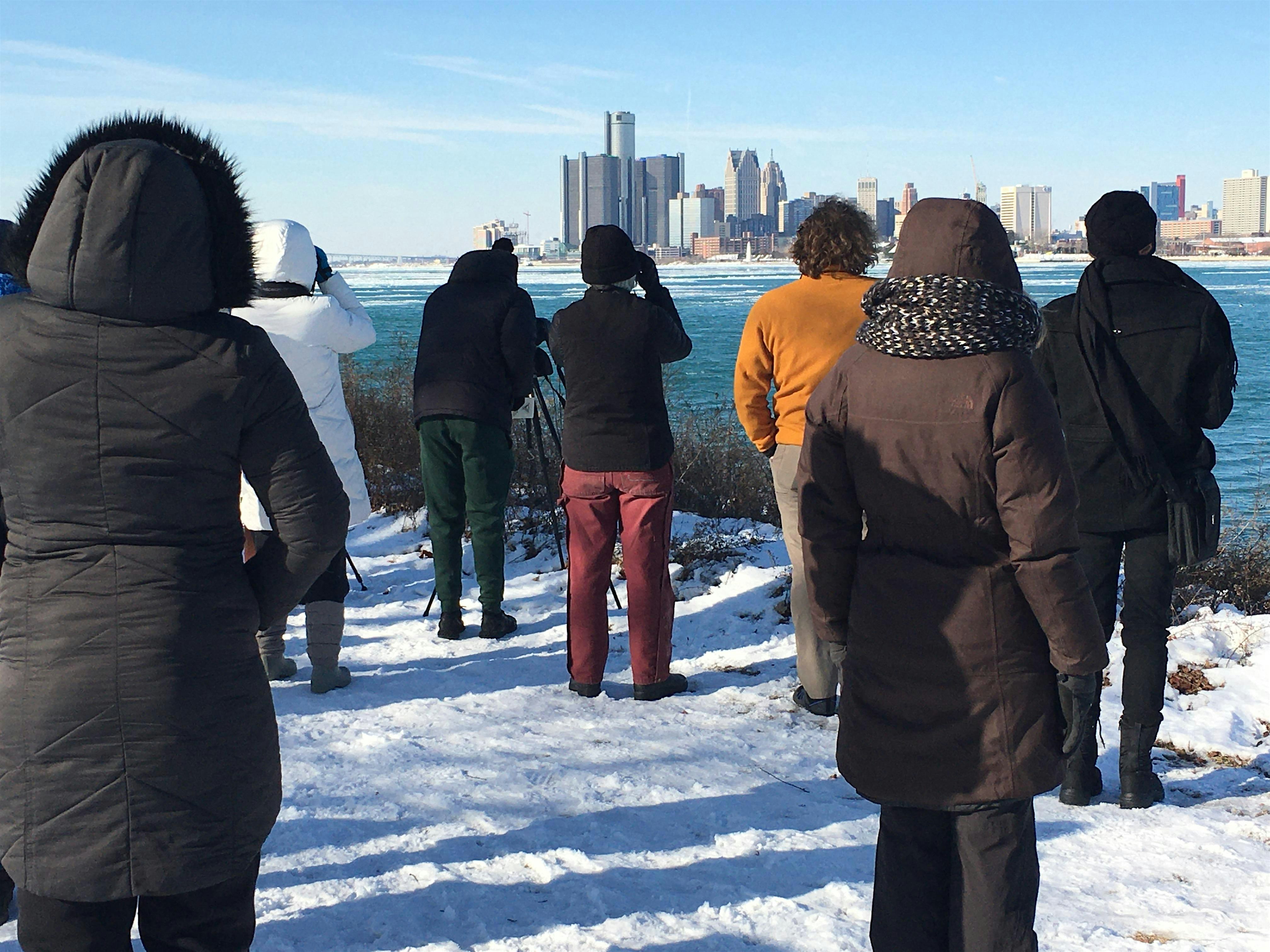 Shiver on the River- Belle Isle Winter Birding – Detroit, MI