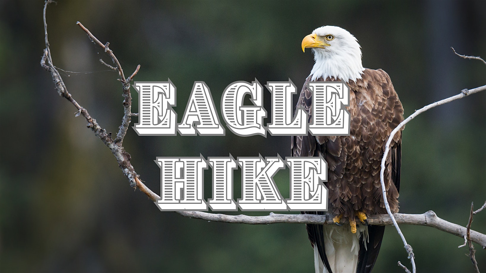 Eagle Hike – Topeka, KS