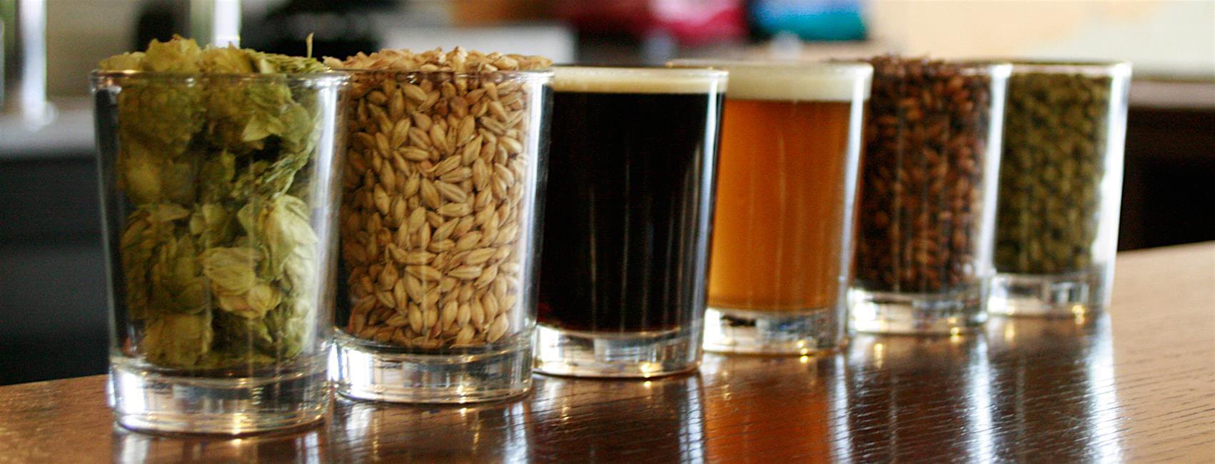 Intro to All-Grain Brewing – Tampa, FL