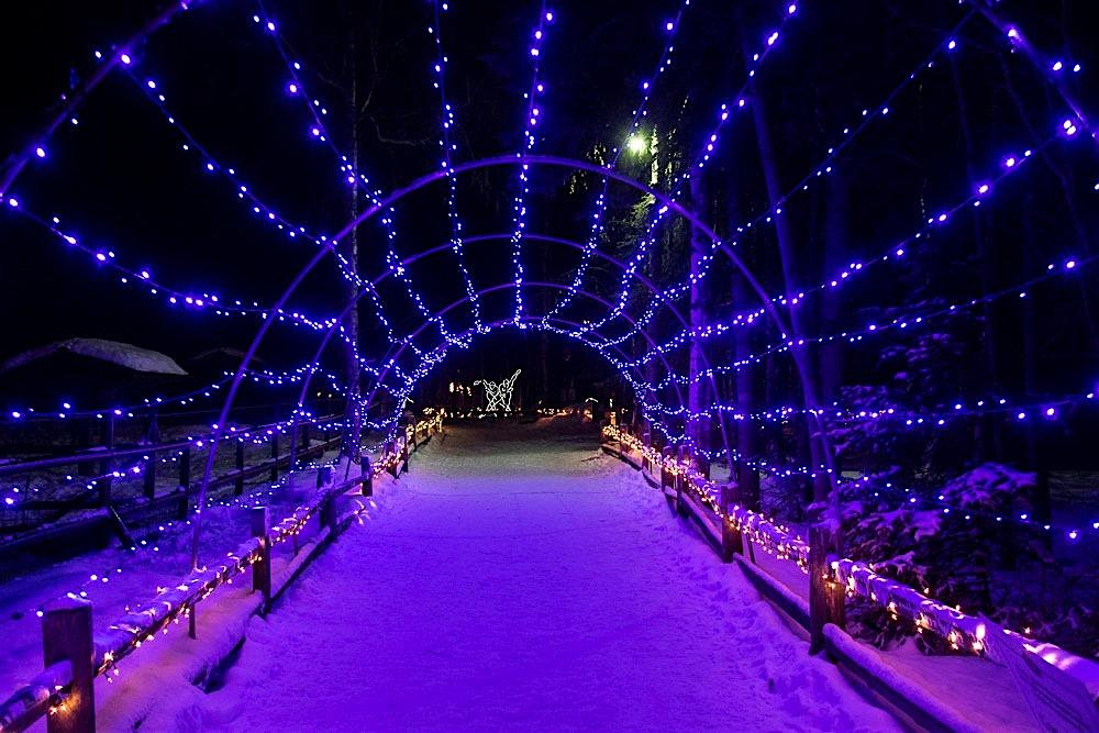 Zoo Lights Birthday Parties – Anchorage, AK