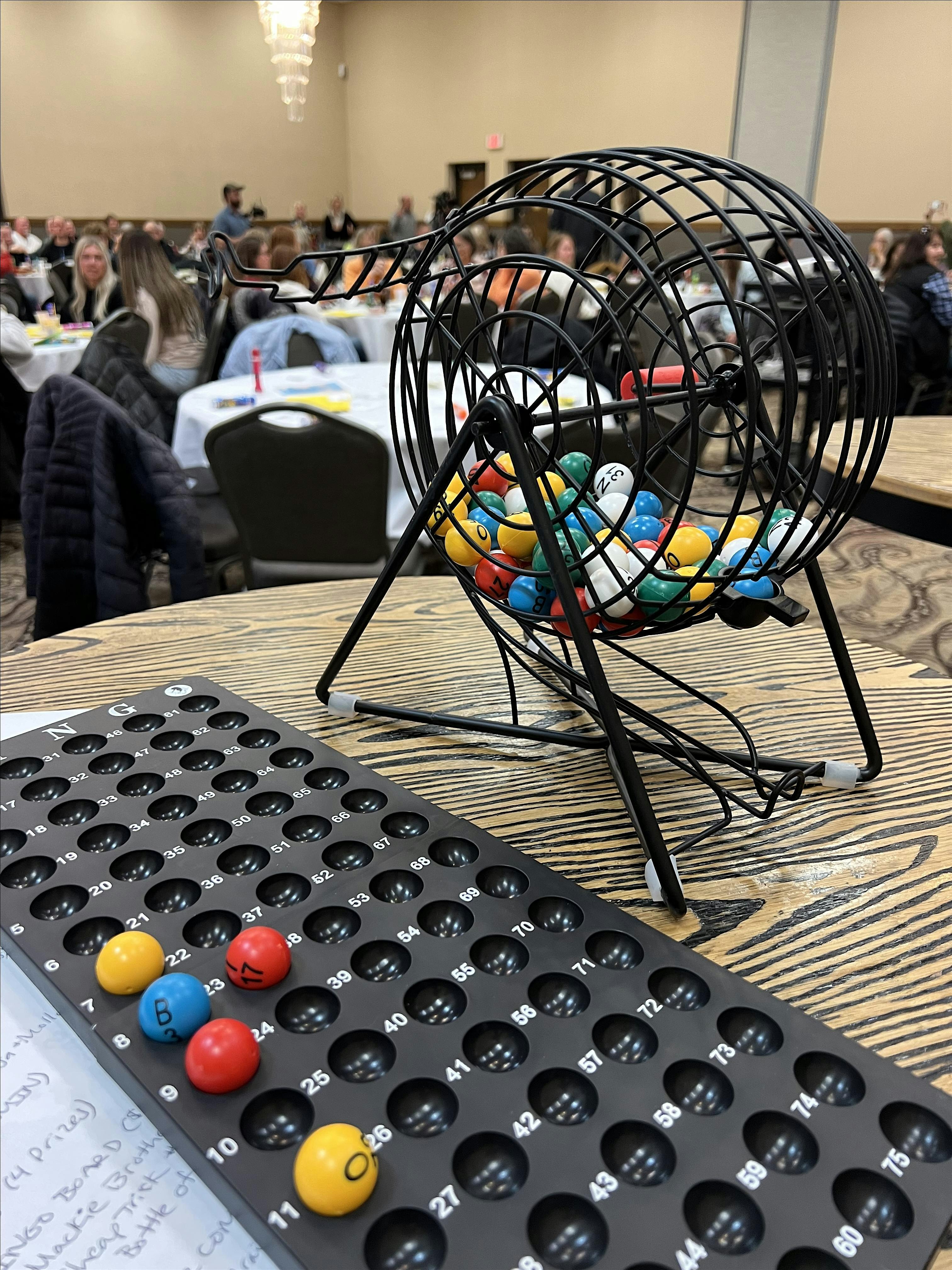 Musical Bingo & Dessert Auction FUNdraiser – Superior, WI