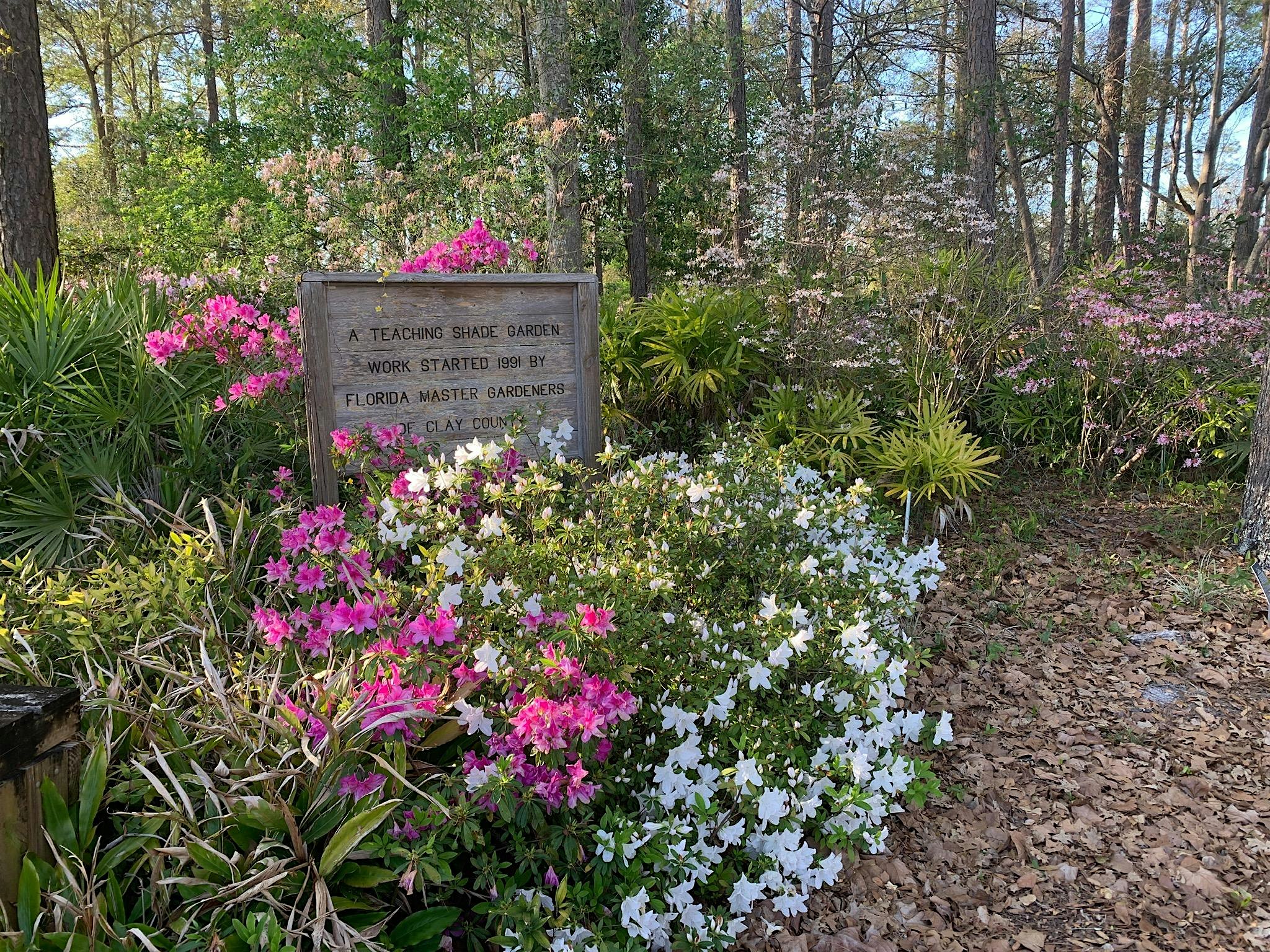 2025 Gardening Day of Education- Clay County Master Gardeners – Green Cove Springs, FL