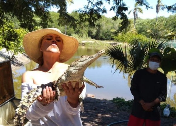 .Beach Horse Riding Turtle Release Crocodile Farm Experience – Chihuahua (State), Mexico