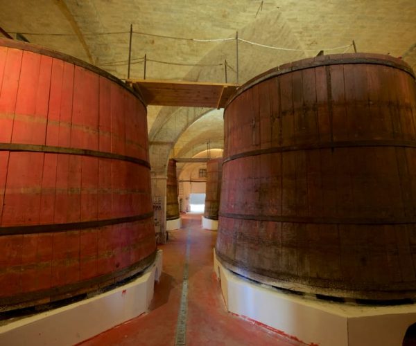 Abruzzo: Historic Cellar Wine Tour and Tasting – Abruzzo, Italy