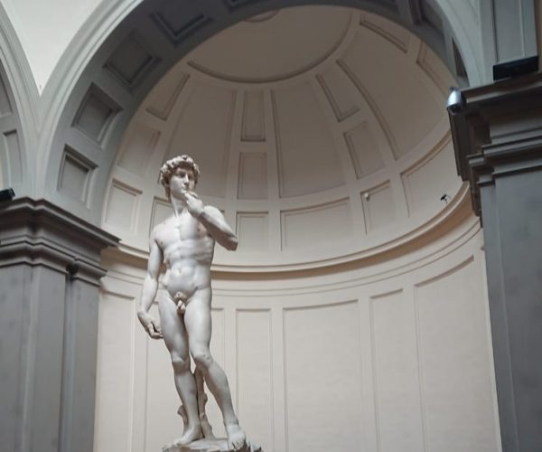 Accademia Gallery with David: Private Tour in Florence – Florence, Italy