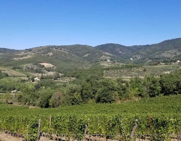 Active Tuscany Bike Tour with Lunch at farm and Wine Tasting – Tuscany, Italy