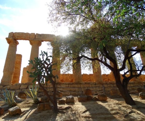 Agrigento: Walking Tour of Ancient Akragas with Local Guide – Sicily, Italy