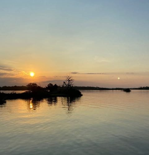 Airboat 60 Minute Backwater/Eco Adventure – Gulf of Mexico, Mexico