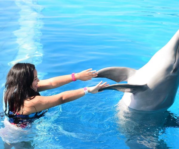 Akumal: Dolphin Encounter – Quintana Roo, Mexico