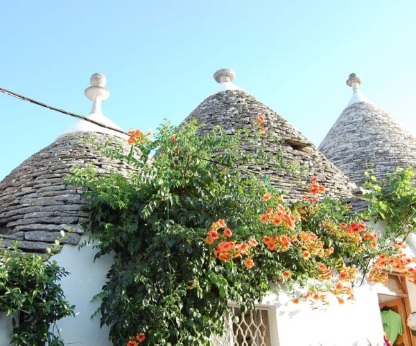 Alberobello: History Walking Tour with Olive Oil Tasting – Apulia, Italy