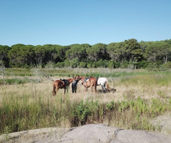 Alghero: Guided Horseback Ride at Lake Baratz & Porto Ferro – Sardinia, Italy