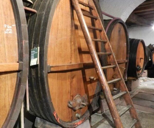 Alsace: Half-Day Wine Tour from Colmar – Grand Est, France