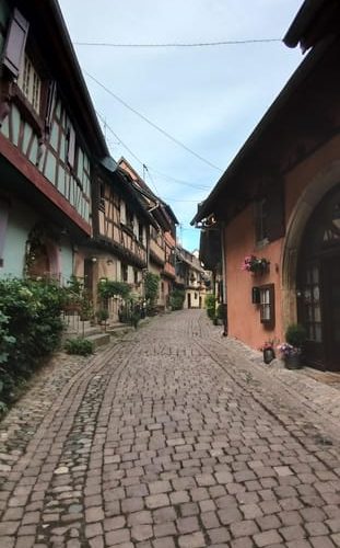 Alsace: Private Wine Tour – Grand Est, France