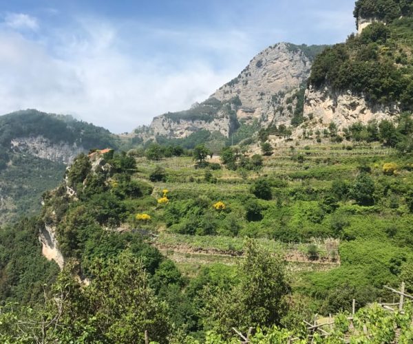 Amalfi: Walking tour between Furore vertical Vineyards – Amalfi, Italy