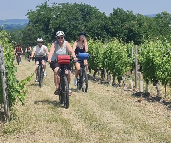 Angers: Cycling tour with wine tastings ! – Pays de la Loire, France