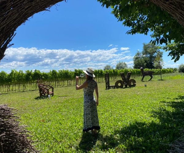 Aquileia: Winery Tour and Tasting – Friuli-Venezia Giulia, Italy