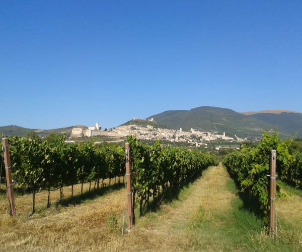 Assisi Rental Vespa ‘125cc – Umbria, Italy