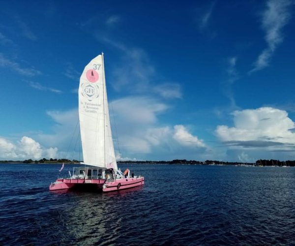 Baden: Gulf of Morbihan Exploration by Catamaran – Brittany, France