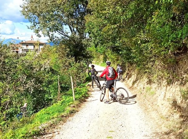 Bardolino: e-bike tour and wine tasting on the hills – Veneto, Italy