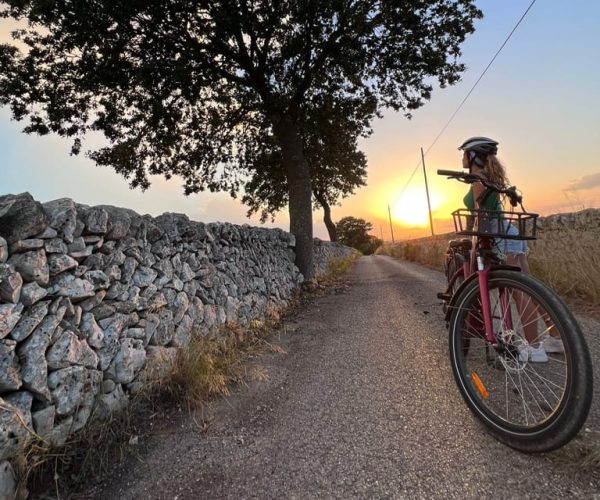 Bari/Gioia del Colle: ebike tour & toasts in vineyard – Apulia, Italy