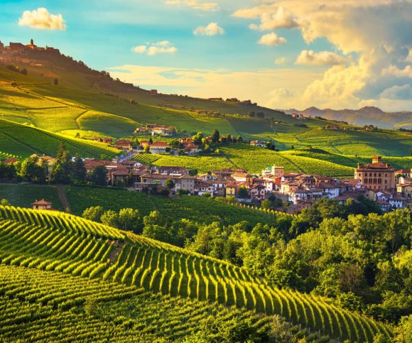 Barolo wine cellar Tasting, Alba town and Unesco castle – Piedmont, Italy