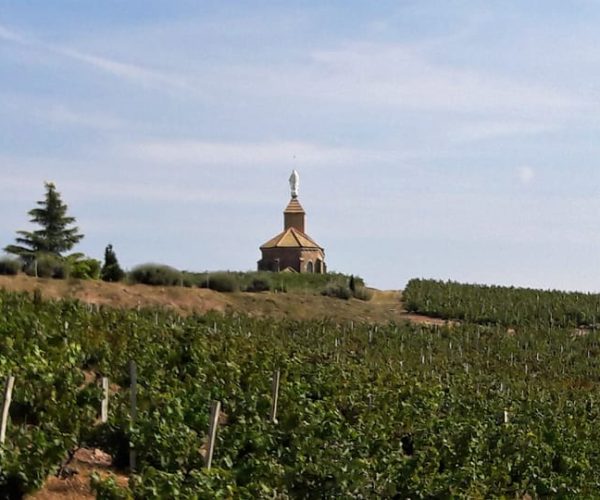 Beaujolais: Half-Day Wine Tour – Auvergne-Rhône-Alpes, France