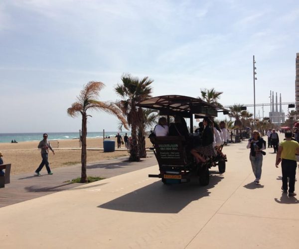 Beer Bike Malaga – Andalusia, Spain