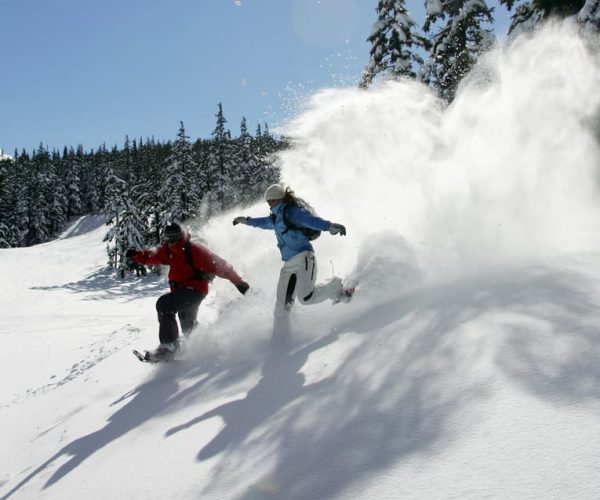 Bend: Half-Day Snowshoe Tour in the Cascade Mountain Range – Deschutes National Forest, Oregon