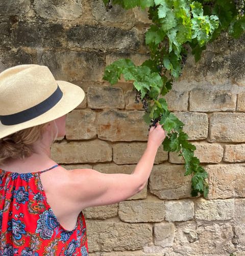 Blind Tasting : Bordeaux Natural Wine and Cheese experience – Nouvelle-Aquitaine, France