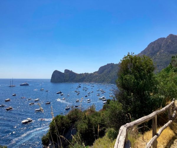 Boat Tour dinner experience in Nerano or Amalfi – Amalfi, Italy