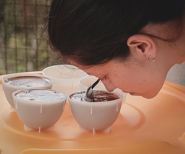 Bogota: Expert curated Colombian Coffee cup tasting workshop – Bogota, Colombia