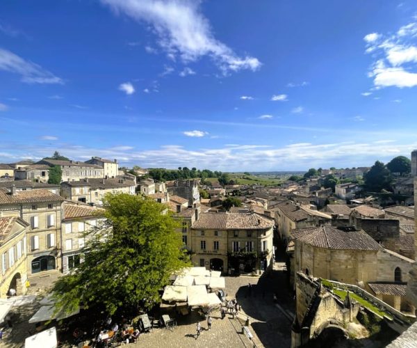 Bordeaux: St-Emilion Vineyards e-Bike Tour with Wine & Lunch – Nouvelle-Aquitaine, France