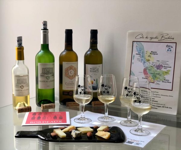 Bordeaux : tasting class with white wines and cheese – Nouvelle-Aquitaine, France