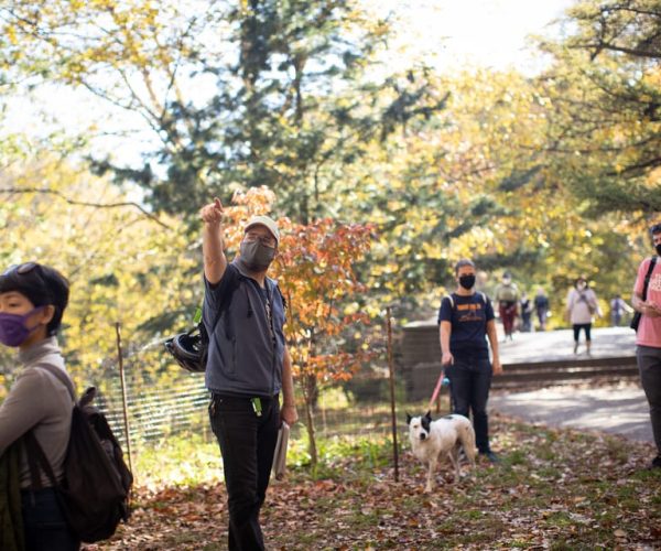 Brooklyn: 2-Hour Prospect Park Guided Walking Tour – New York City, New York